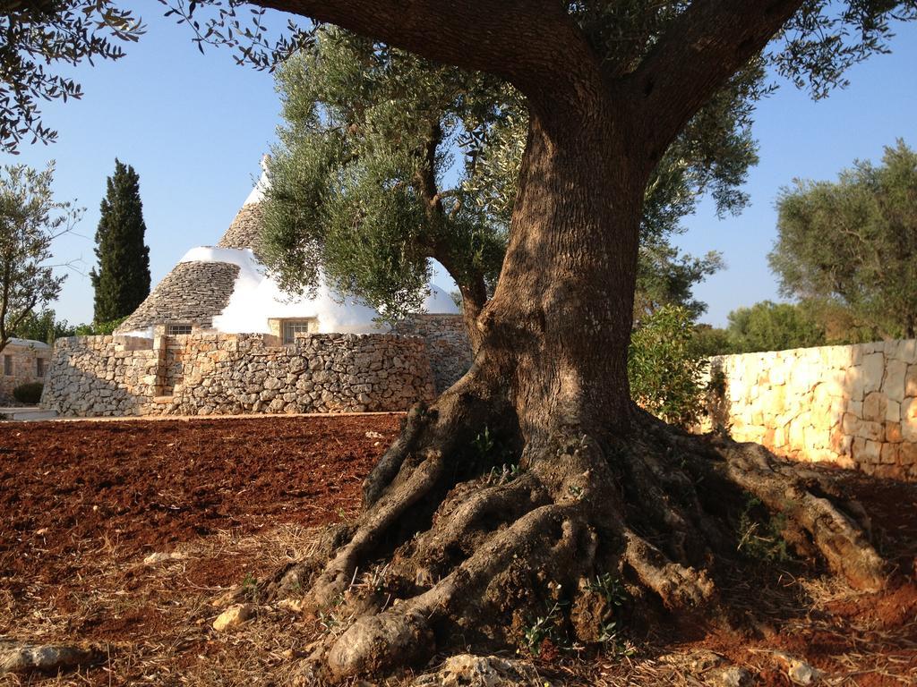 I Trulli Di Alice Villa Ceglie Messapica Exterior photo